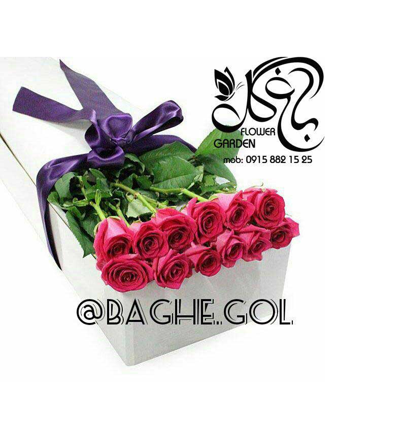 باکس گل